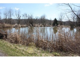 Property photo 20 - REAL ESTATE AUCTION - 366+/- ACRES OFFERED IN 5 TRACTS IN WESTERN JEFFERSON COUNTY, INDIANA